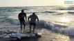 2 touristes tentent de sauver un requin échoué sur la plage