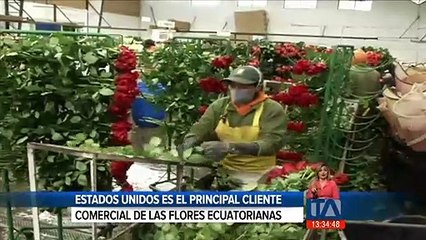 Las rosas ecuatorianas ingresarán a los Estados Unidos sin pagar aranceles