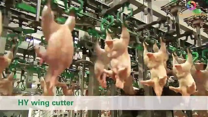 Top Machine Systems 2020 Part 3