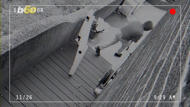 Doorbell Camera Captures Video of an Entire Herd of Deer Grazing on Residential Street