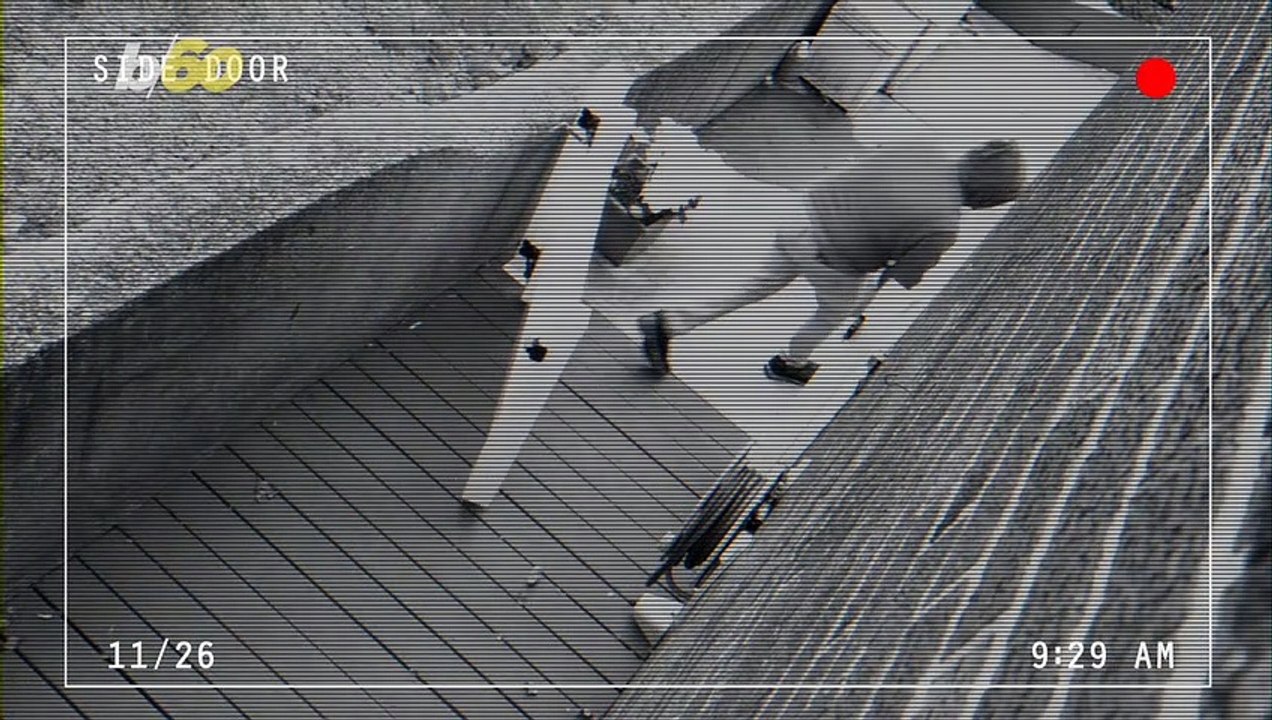 Doorbell Camera Captures Video of an Entire Herd of Deer Grazing on Residential Street