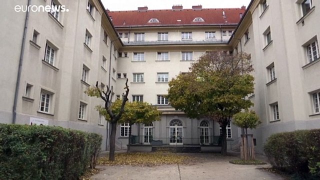 Теракт в Вене: сбой в работе спецслужб