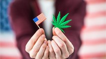 Mississippi Voters Legalized Medical Marijuana