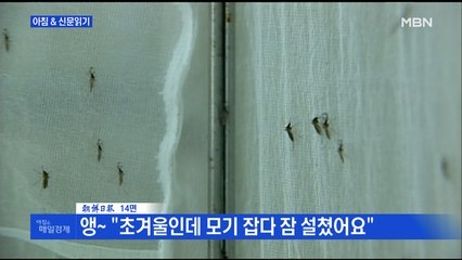 신문브리핑5 "앵~ "초겨울인데 모기 잡다 잠 설쳤어요""외 주요기사