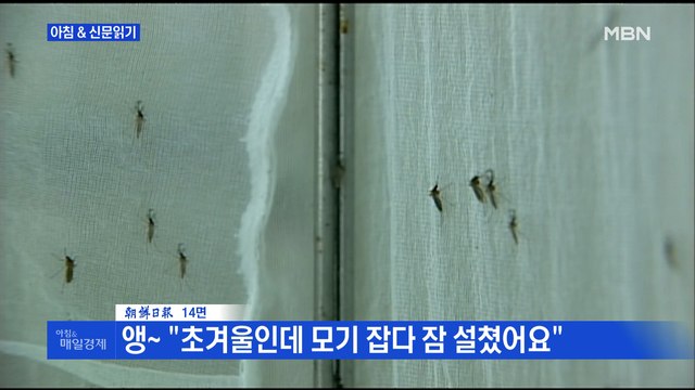 신문브리핑5 앵~ 초겨울인데 모기 잡다 잠 설쳤어요 외 주요기사
