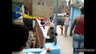 Funny monkey video|funny monkey slap|monkey prank|funny monkey slapped by man|