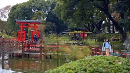 Técnica de pintura Sumi-e