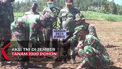 Aksi TNI di Jember Tanam 1000 Pohon