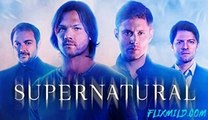 Watch! ~ Supernatural Season 15 Episode 19 On (Inherit the Earth)