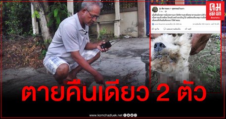 สุพรรณบุรี ชาวบ้านผวาสุนัขตายคืนเดียว 2 ตัว ที่คอมีบาดแผลเหวอะ