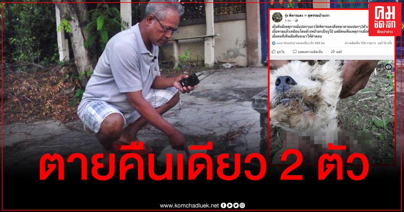 สุพรรณบุรี ชาวบ้านผวาสุนัขตายคืนเดียว 2 ตัว ที่...