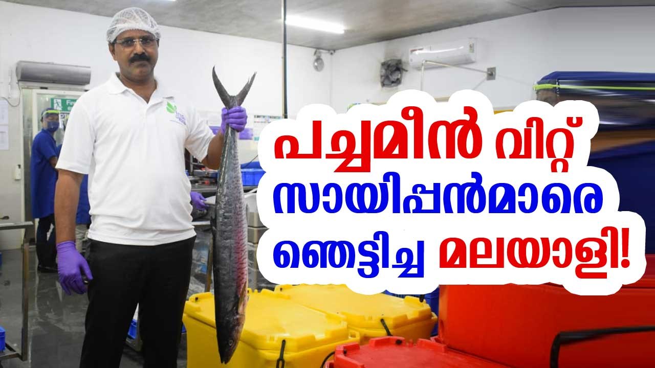 പച്ചമീന്‍ വിറ്റ് സായിപ്പന്‍മാരെ ഞെട്ടിച്ച മലയാളി! Fresh To Home // DeepikaNews