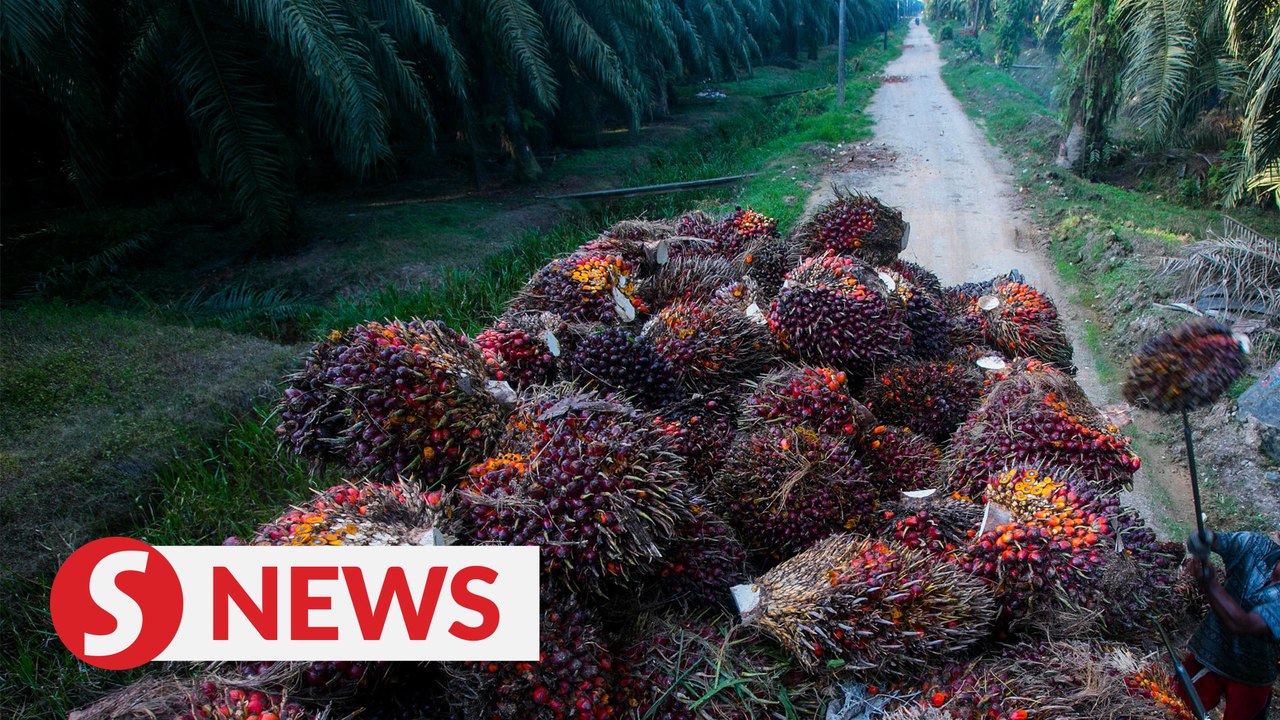 Khairuddin: US boycott not affecting export of palm oil products