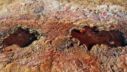Dünyada sadece Erzincan'da var! 'Kesin korunacak hassas alan' ilan edildi