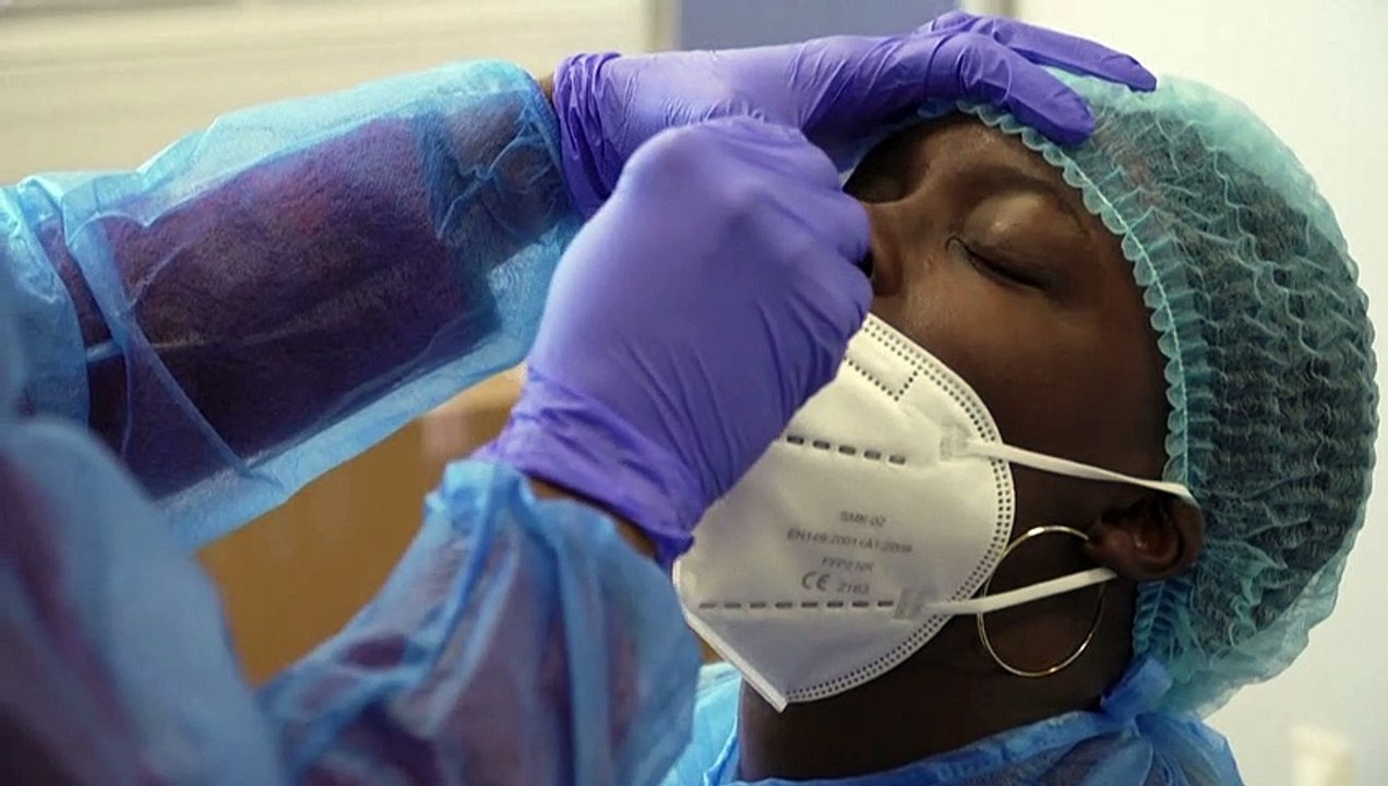 Mutiertes Virus: Harter Lockdown in Jütland und 17 Mio. tote Nerze