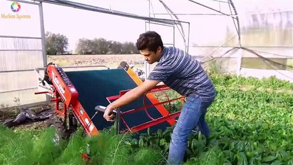 Top Machine Systems 2020 Part 4