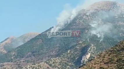 Report TV - I vunë flakën malit në  Gjirokastër, policia shoqëron 4 persona