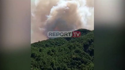 Report TV -Vijojnë vatrat e zjarrit në Rubik