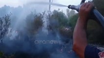 Ora News - Fier, zjarri përfshin pyllin e Semanit