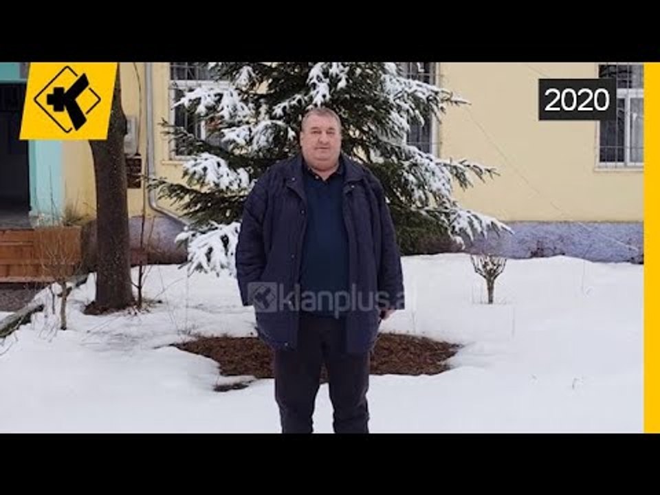 Vdes nje tjeter mjek | Lajme-News