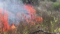 Ora News - Fier, flakët prej 5 ditësh djegin pyllin e Semanit, zjarrfikësve u vjen në ndihmë ushtria