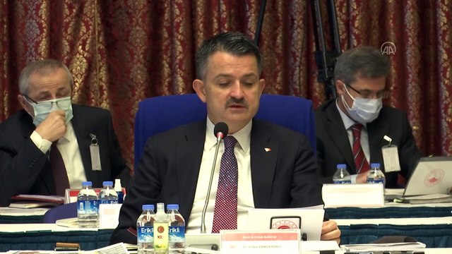 Pakdemirli: '2020 yılı sonu itibari ile orman varlığımızın 22,9 milyon hektar olmasını hedeflemekteyiz' - TBMM