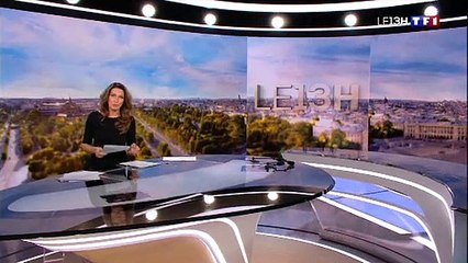 TF1 annonce l'autorisation des combats de MMA en France