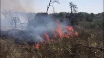 Ora News - Qindra hektarë tokë në flakë, vetëm në korrik janë regjistruar 168 vatra zjarri