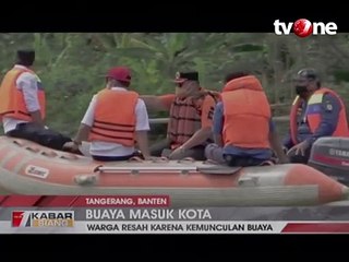 Kawanan Buaya di Bantaran Sungai Cisadane Resahkan Warga