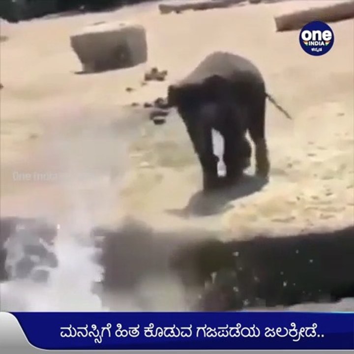 ಒಬ್ಬರನ್ನೊಬ್ಬರು ನೀರಿಗೆ ತಳ್ಳಿ ಮಜಾ ತೆಗೆದುಕೊಂಡು ಆನೆ ಮರಿಗಳು | Oneindia Kannada