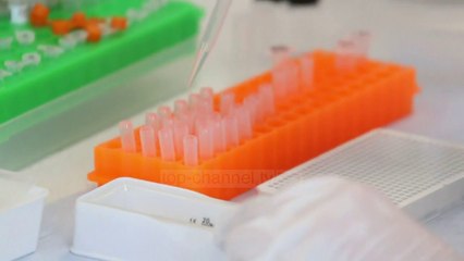 Top News - Vaksina e covid-19/SHBA, kërcënohet nga obeziteti