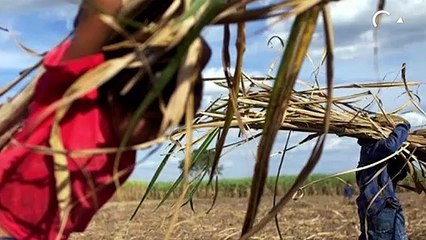 गुजरात में सबसे ज़्यादा बाल मज़दूर, मज़दूरी मारने में भी टॉप पर