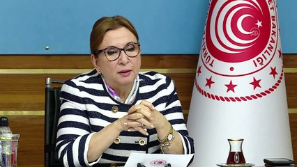 Bakan Pekcan: 'İhtisas Serbest Bölgeleri ile yüksek teknolojili ürün ihracatına katkı sağlamayı hedefliyoruz' - ANKARA