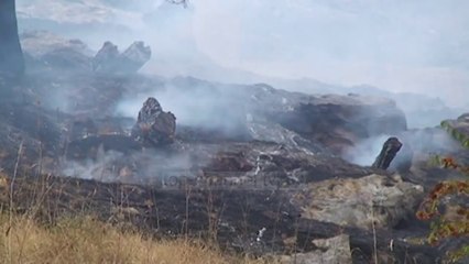 Top News - Shiu shuan flakët në vend/ MM-u dogjën 140 ha shkurre e pyje