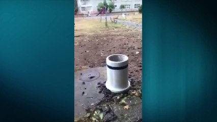 VIDEO LAJM/ Stuhia 'shuan' tufën e harabelave në Podgoricë