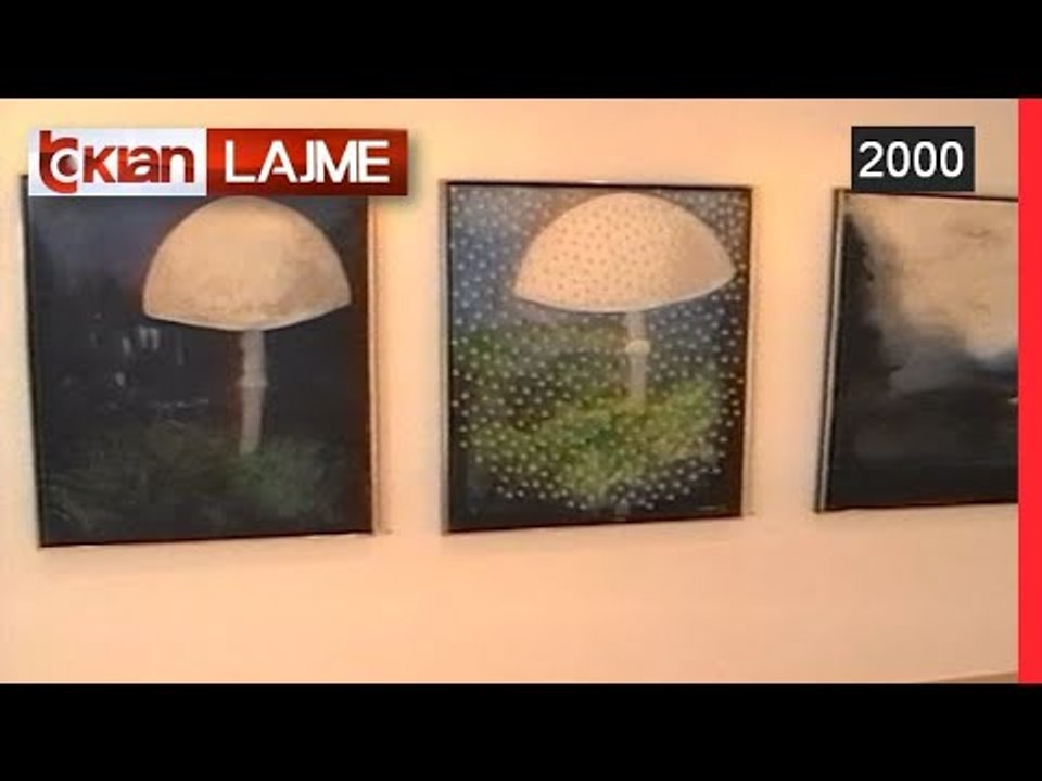 Ekspozita e artit bashkekohor shqiptar ne “Galerine 21” - 25 Gusht 2000