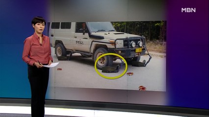 김주하의 11월 5일 '이 한 장의 사진'