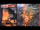 Situate e renduar nga zjarret ne Gjirokaster, digjen pyjet e Koshovices - (26 Gusht 2000)