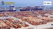 Una tonnellata di cocaina purissima nascosta tra cozze surgelate al porto di Gioia Tauro (05.11.20)
