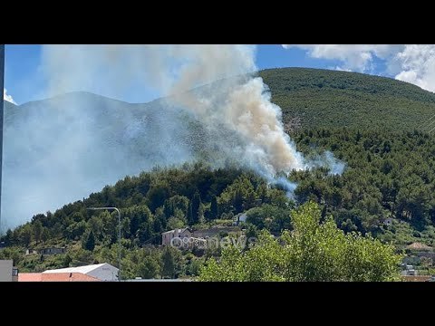 Ora News - Lezhë, zjarret djegin sipërfaqe të mëdha pyjore, kërkohet ndërhyrje