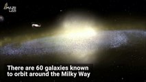 The Milky Way Makes Orbiting Galaxies Glimmer Before Leaving Them to Wane