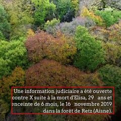 Affaire Pilarski : le pitbull Curtis, seul coupable