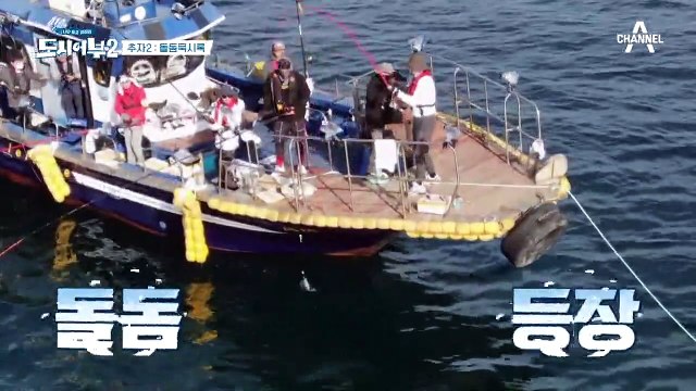 드디어 ☆돌돔☆ 낚은 태곤의 절규 ♨여러분, 돌돔은 그냥 사드세요♨