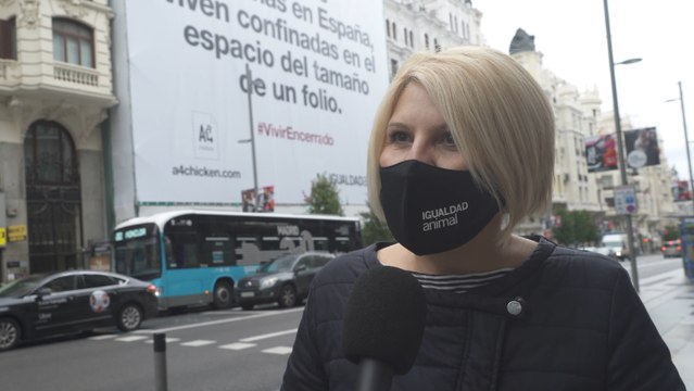 Igualdad Animal inicia una campaña contra las gallinas enjauladas