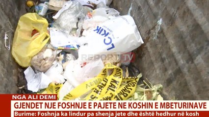 Download Video: Report TV - Tiranë, gjendet një foshnje e pajetë në koshin e mbeturinave te zona e Ali Demit