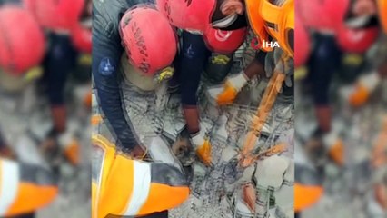 Enkazdan çıkarılan kediler tedavi altına alındı