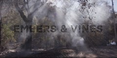 Embers and Vines: Wildfires Burn Through California Wine Country