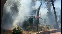 Zjarr në Malin e Taraboshit në Shkodër, rrezikohen banesat! Kërkohet ndërhyrja e ushtrisë
