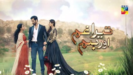 Tera Ghum Aur Hum Episode 39 Promo HUM TV Drama