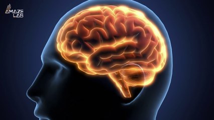 How Many Thoughts Do Humans Have in a Single Day?